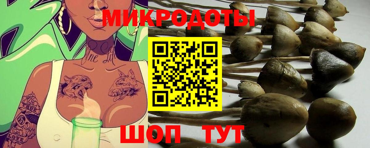 Галлюциногенные грибы прущие грибы Дивногорск