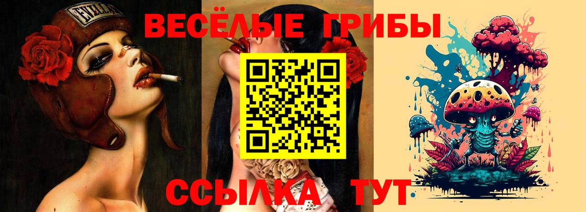 Дивногорск  Псилоцибиновые грибы GOLDEN TEACHER  наркошоп  Вход с VPN  Псилоцибиновые грибы GOLDEN TEACHER 